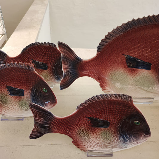 Set da pesce Rometti