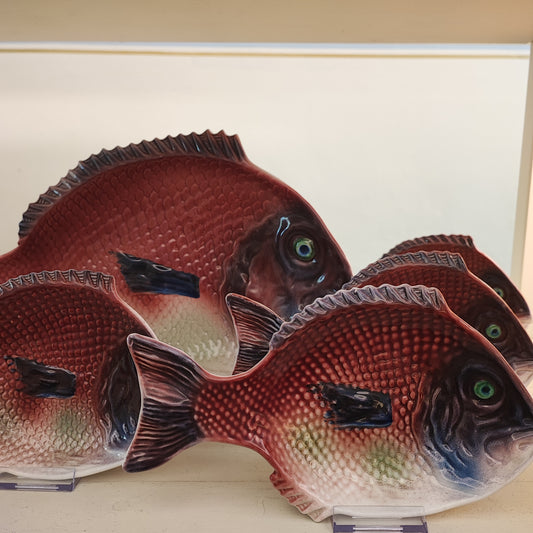 Set da pesce Rometti