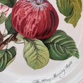 Carica l'immagine nel visualizzatore della galleria, Piatti Pomona - Portmeirion
