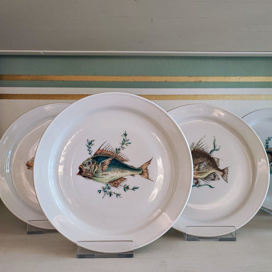 Set da pesce Richard Ginori