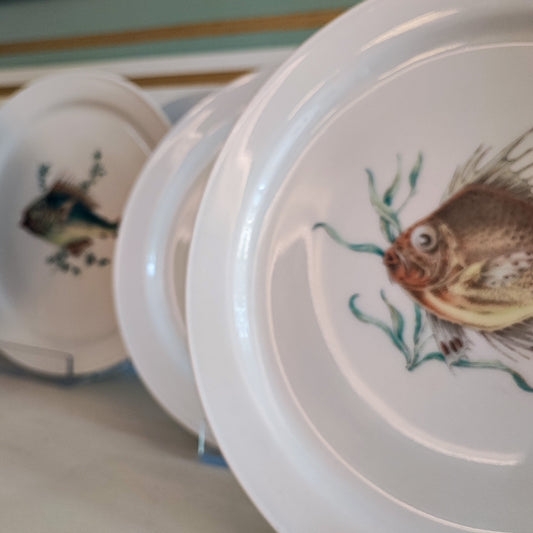 Set da pesce Richard Ginori