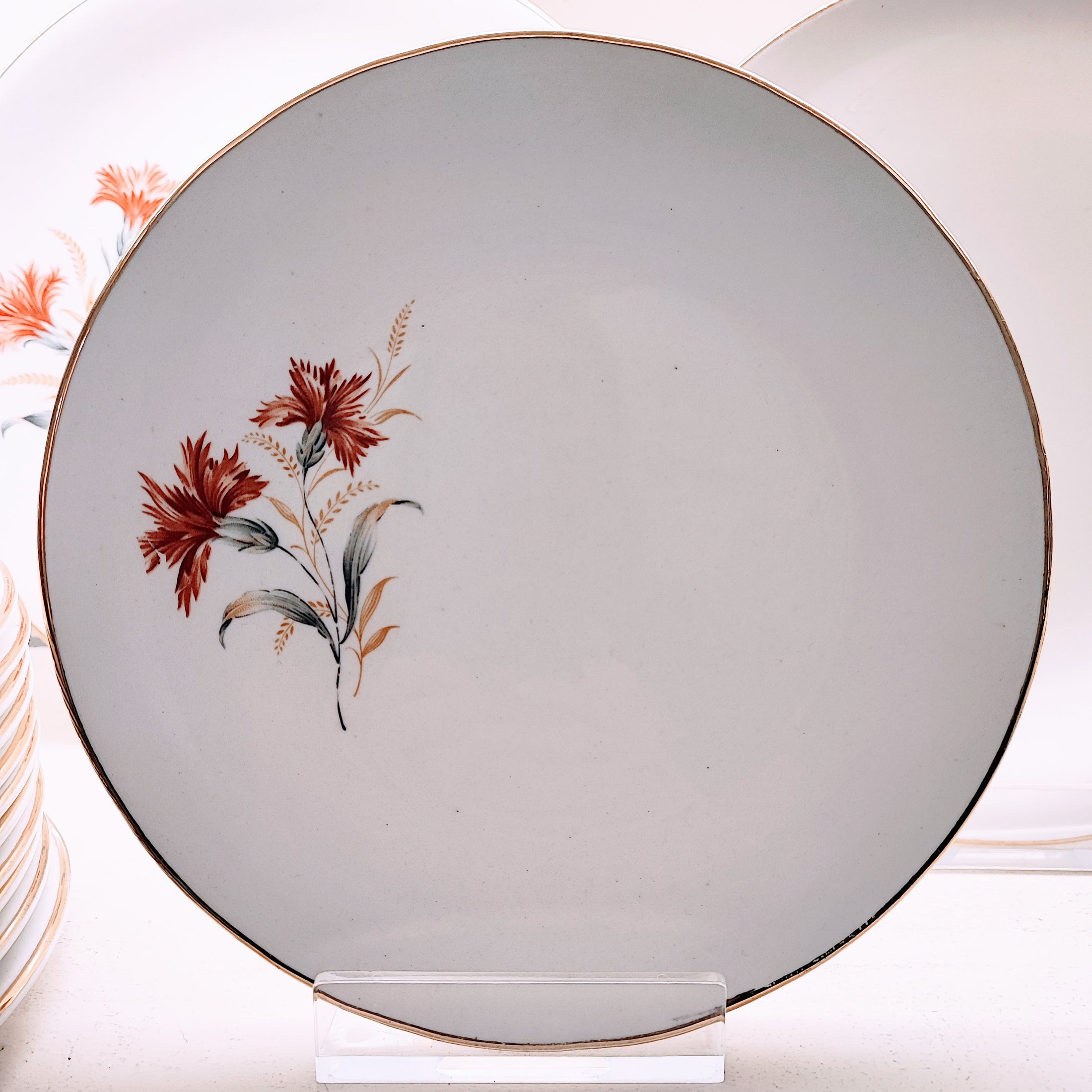 Servizio di piatti Pagnossin per 12 persone