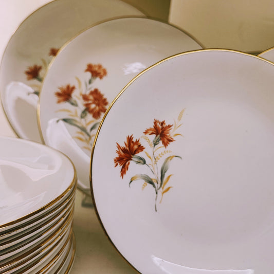 Servizio di piatti Pagnossin per 12 persone