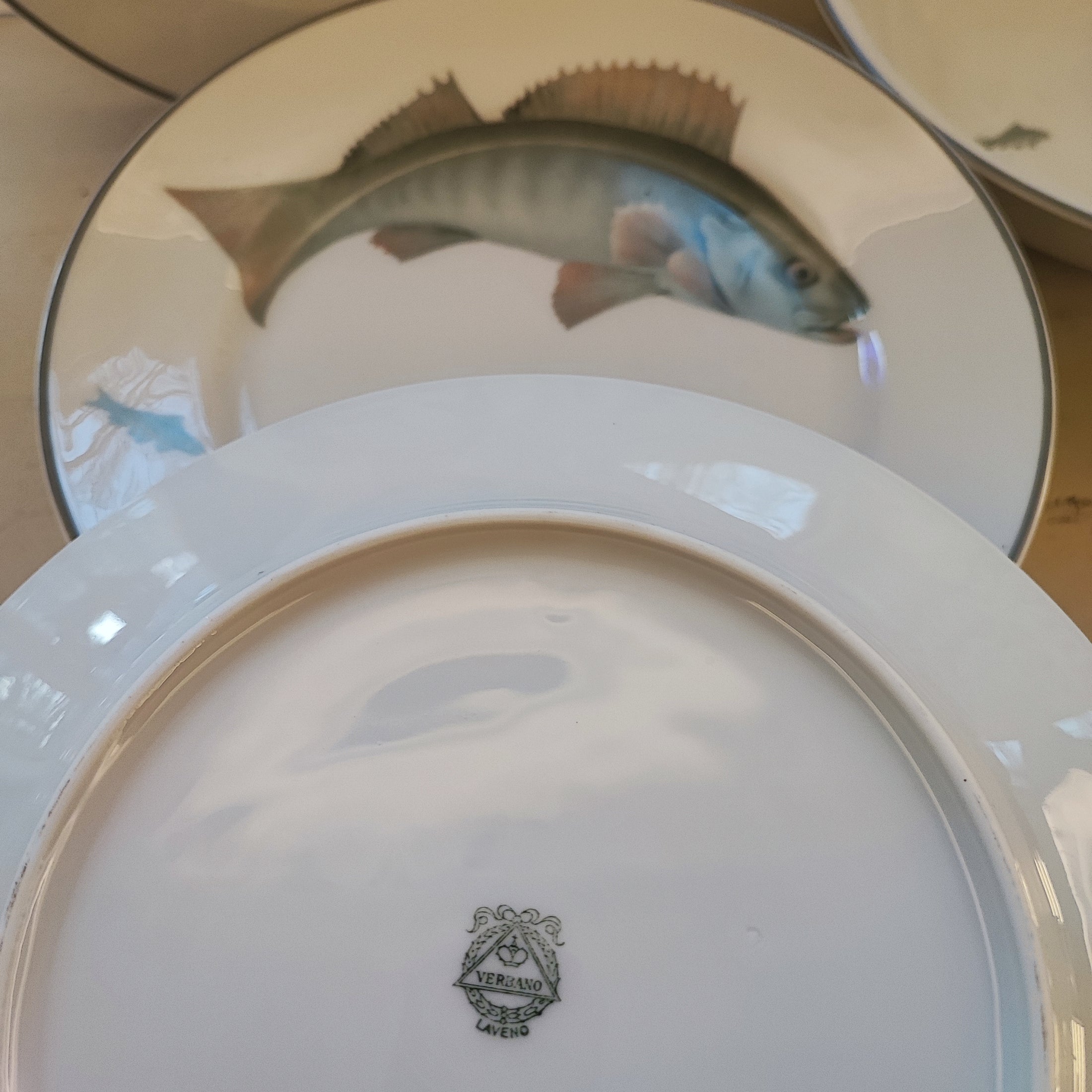 Set da pesce Verbano Laveno